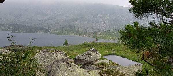 Природни резерват Ергаки, југ Краснојарског краја Природни резерват Ергаки, југ Краснојарског краја - Sputnik Србија