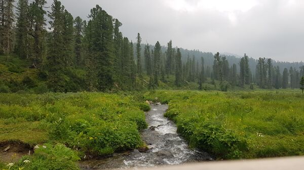 Čudo Sibira: Grad u kom je Rusima toplo na minus pet (foto)  - Sputnik Srbija