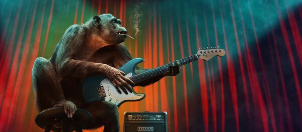 Мајмун - Sputnik Србија