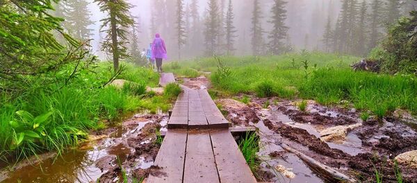 Туристичке стазе природног резервата Ергаки привлаче љубитеље природе Туристичке стазе природног резервата Ергаки привлаче љубитеље природе - Sputnik Србија