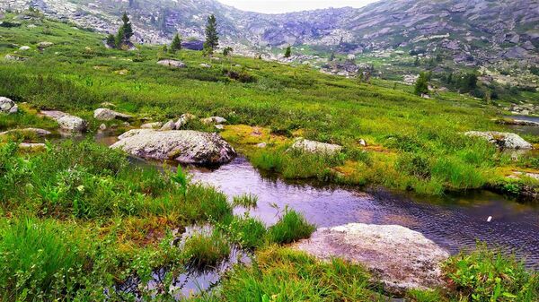 Са блогерима по тајанственим сибирским тајгама (фото) Са блогерима по тајанственим сибирским тајгама (фото) - Sputnik Србија