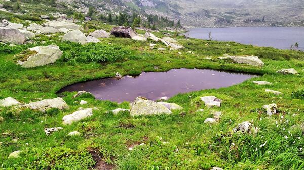 Сибир — ризница руског злата, платине, никла, бакра, обојених метала (фото) - Sputnik Србија