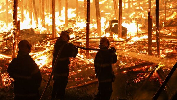 Пожари у Бразилу - Sputnik Србија
