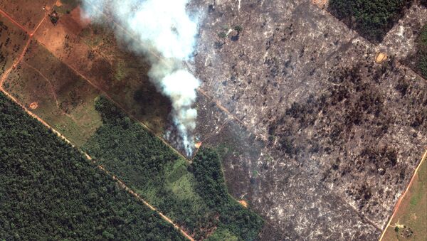 Požari u Amazoniji - Sputnik Srbija