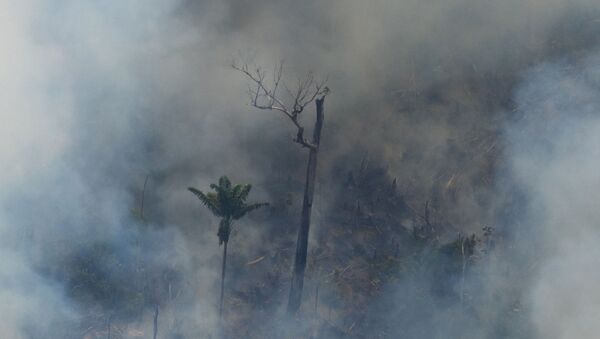 Požari u Amazoniji - Sputnik Srbija
