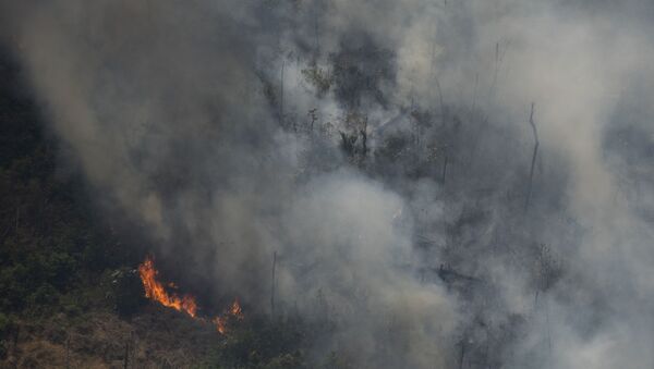 Požari u Amazoniji besne danima - Sputnik Srbija
