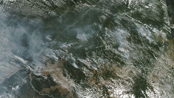 НАСА објавила узнемирујуће фотографије пожара у Амазонији - Sputnik Србија