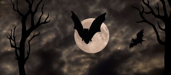 Слепи мишеви - Sputnik Србија