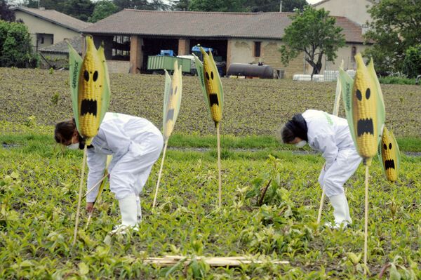 Pritisak na Srbiju da uvede GMO: Opasnost da zakoračimo u zonu bez povratka - Sputnik Srbija