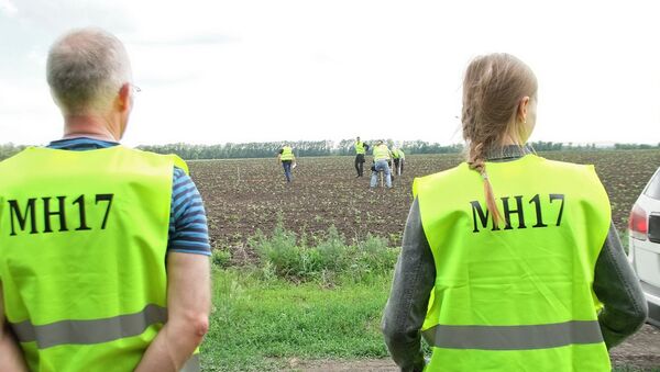 Međunarodni eksperti u Donjecku istražuju uzroke avionske katastrofe malezijskog aviona na liniji MH17 - Sputnik Srbija