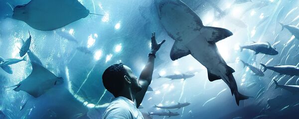 Moon Moon - Sputnik Србија