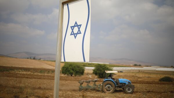 Палестинац обрађује земљу у околини Бардале на Западној обали. - Sputnik Србија