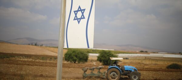 Палестинац обрађује земљу у околини Бардале на Западној обали. Палестинац обрађује земљу у околини Бардале на Западној обали. - Sputnik Србија