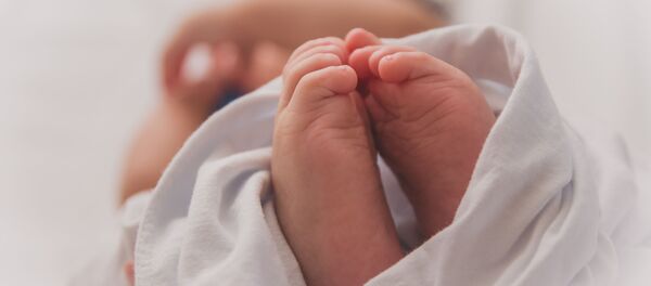 Beba Beba - Sputnik Srbija