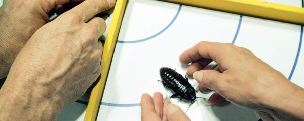 Бубашваба - Sputnik Србија