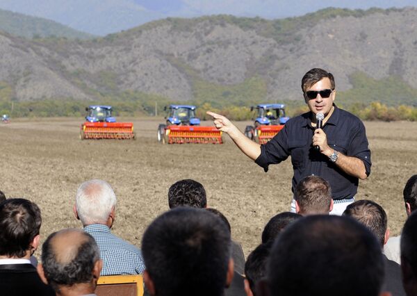 Бивши председник Грузије Михаил Сакашвили у посети пољопривредном газдинству недалеко од града Кварели. - Sputnik Србија