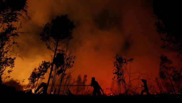 Ватрогасци гасе шумски пожар у Националном парку Себангау и Индонезији - Sputnik Србија