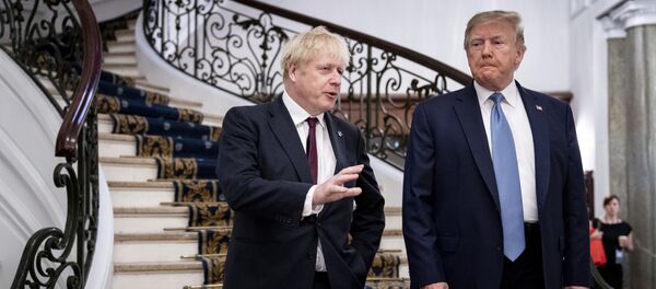 Премијер Велике Британије Борис Џонсон и председник САД Доналд Трамп након састанка на маргинама Г7 у француском Бијарицу Премијер Велике Британије Борис Џонсон и председник САД Доналд Трамп након састанка на маргинама Г7 у француском Бијарицу - Sputnik Србија