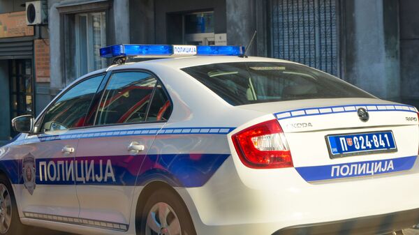Полицијска кола  - Sputnik Србија