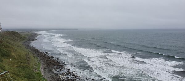 Вид на воды Тихого океана со смотровой площадки поселка Южно-Курильск на острове Кунашир. - Sputnik Србија