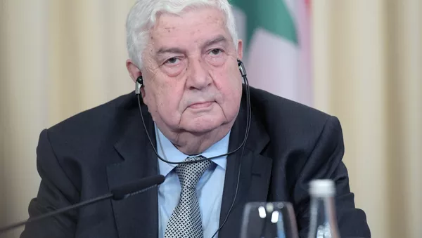 Валид Муалем - Sputnik Србија