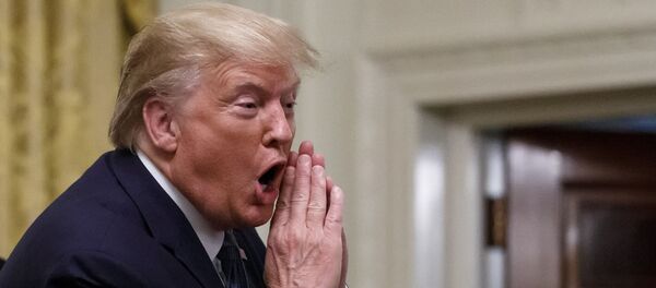 Američki predsednik Donald Tramp - Sputnik Srbija