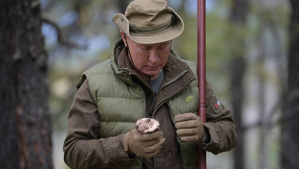 Vladimir Putin u tajgi - Sputnik Srbija