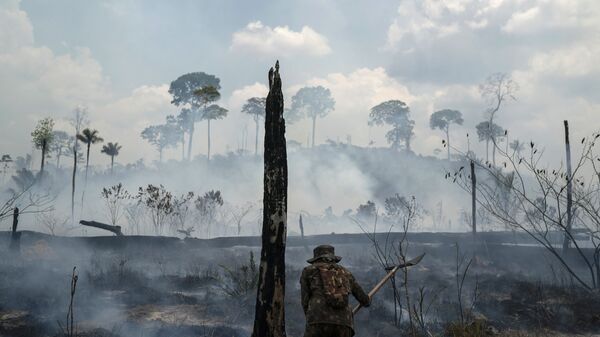 Амазонија у пламену - највећи пожари од 2010. захватили су ову регију у лето ове године, што је подстакло забринутост везано за климатске промене. - Sputnik Србија