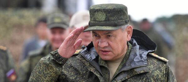Министар одбране Русије Сергеј Шојгу - Sputnik Србија
