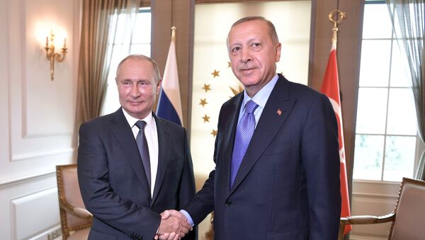Predsednik Rusije Vladimir Putin i predsednik Turske Redžep Tajip Erdogan  - Sputnik Srbija
