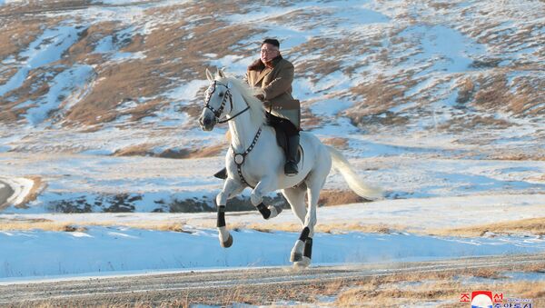Kim Džong Un na planini Pektu jaše belog konja - Sputnik Srbija