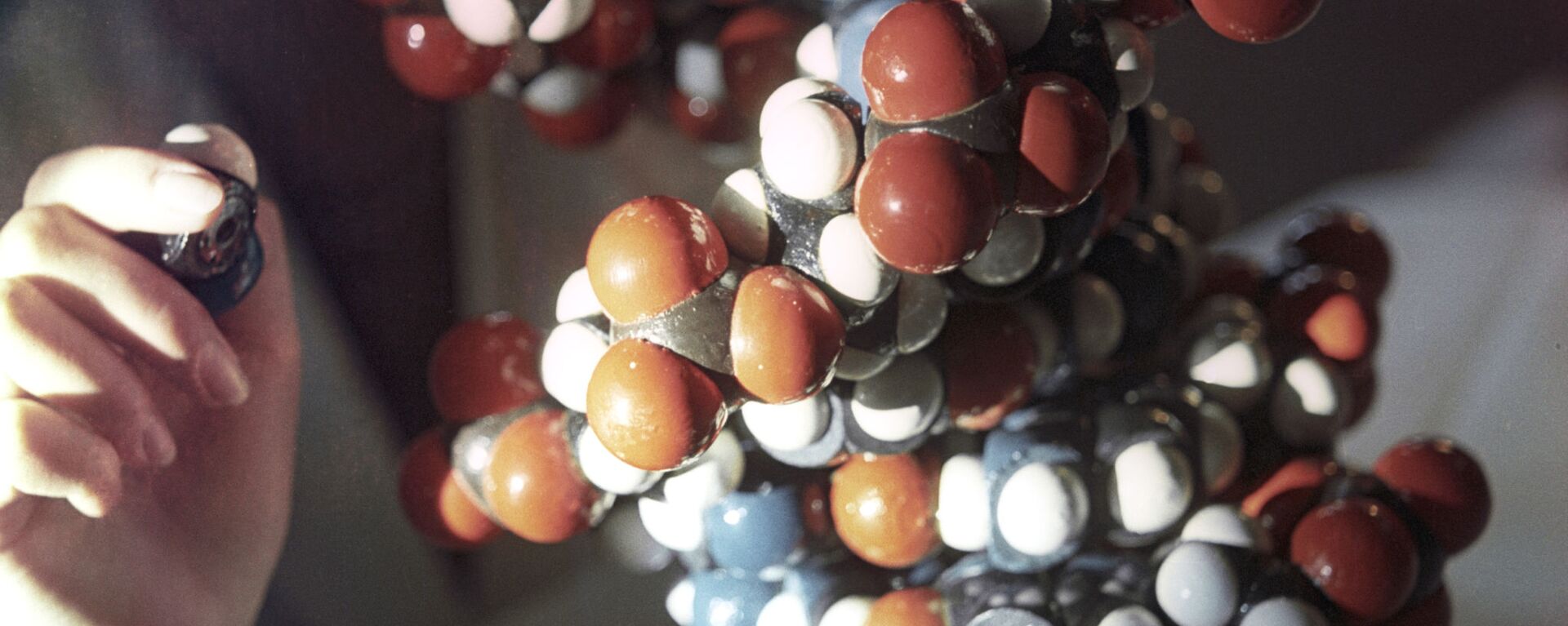 Model DNK molekula - Sputnik Srbija, 1920, 14.01.2022
