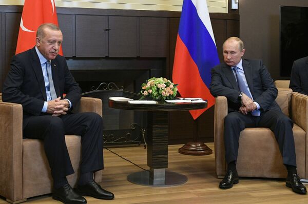Путин на састанку са Ердоганом: Ситуација у Сирији критична Путин на састанку са Ердоганом: Ситуација у Сирији критична - Sputnik Србија