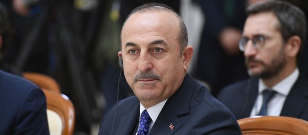 Министар спољних послова Турске Мевлут Чавушоглу - Sputnik Србија