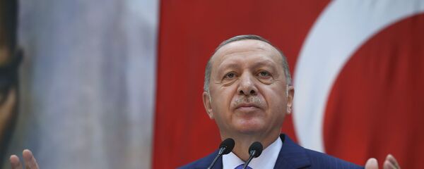 Председник Турске Реџеп Тајип Ердоган - Sputnik Србија