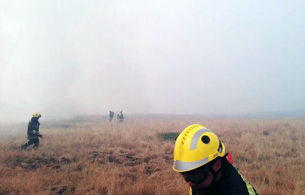 Букте пожари на истоку и југу Србије, ванредно у две општине /фото, видео/ - Sputnik Србија