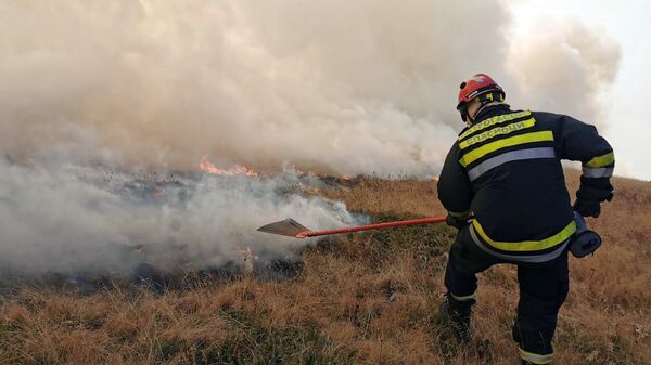 Požar se gasi u četiri sektora na teritoriji Bosilegrada, Trgovišta, Surdulice i Čestelina - Sputnik Srbija