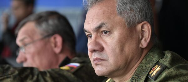 Министар одбране Русије Сергеј Шојгу - Sputnik Србија