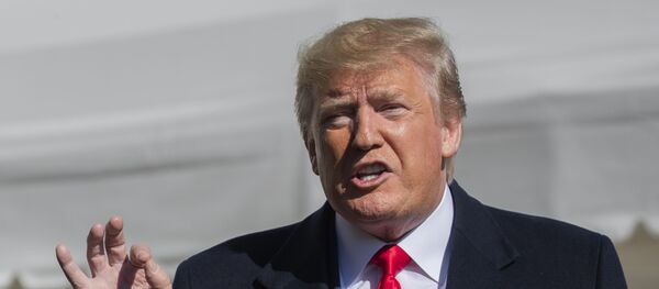 Predsednik SAD Donald Tramp obraća se novinarima ispred Bele kuće u Vašingtonu - Sputnik Srbija