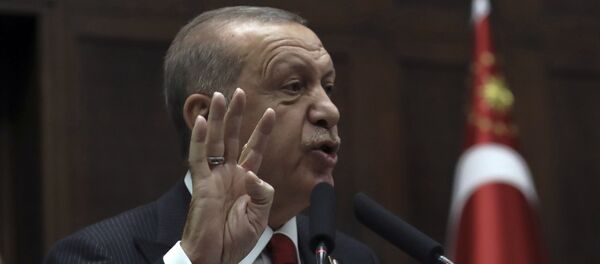 Predsednik Turske Redžep Tajip Erdogan - Sputnik Srbija