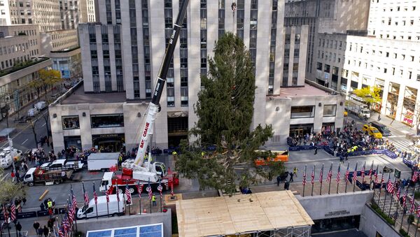 Postavljanje novogodišnje jelke ispred Rokfelerovog centra u Njujorku - Sputnik Srbija