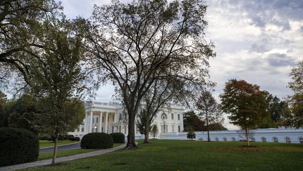 Бела кућа у Вашингтону - Sputnik Србија