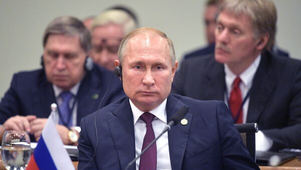 Predsednik Rusije Vladimir Putin na samitu BRIKS-a u Brazilu - Sputnik Srbija