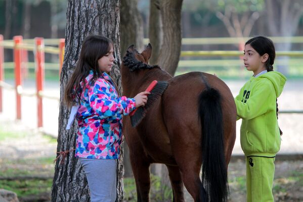 Devojke čiste konja kaspijske pasmine na 18. nacionalnoj izložbi kaspijskih konja u Iranu. - Sputnik Srbija