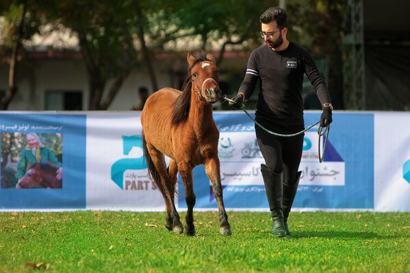 Muškarac sa konjem na 18. nacionalnoj izložbi kaspijskih konja u Iranu. - Sputnik Srbija