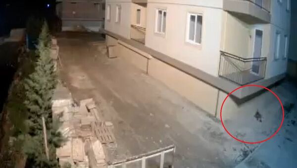 Pas beži iz zgrade nekoliko sekundi pre zemljotresa - Sputnik Srbija