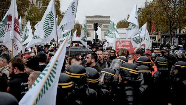 Протест фармера у Паризу - Sputnik Србија