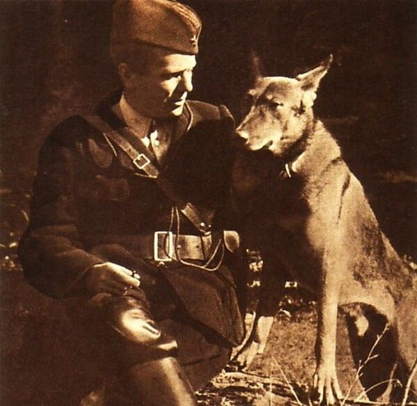 Lajka, Luks, Konan i ostali superheroji koji su promenili istoriju /foto, video/ Lajka, Luks, Konan i ostali superheroji koji su promenili istoriju /foto, video/ - Sputnik Srbija