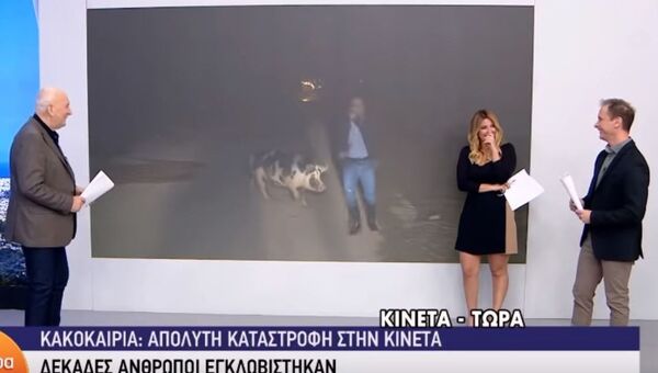 Grčki reporter i svinja - Sputnik Srbija