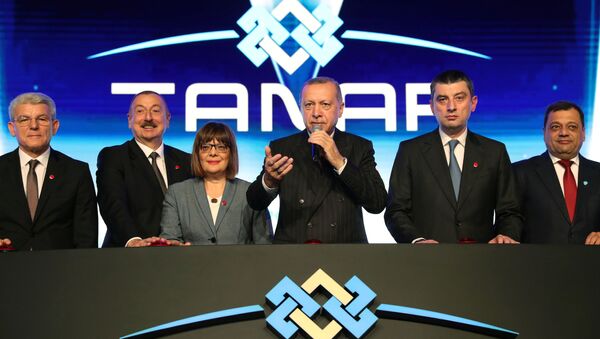 Predsednik Turske Redžep Tajip Erdogan na otvaranju Transanadolijskog gasovoda  - Sputnik Srbija